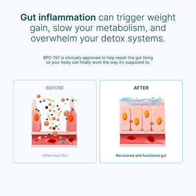 Health Lab® - Body Protection Compound (BPC-157)